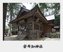 ���z�m�_��